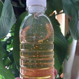 其他乳液;松香;涂料增稠剂