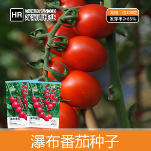 �S�����l�ٲ�С���ѷN�Ӽtɫ�����}Ů�����t���ļ�����ˮ���N����