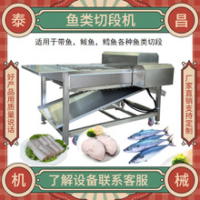 泰昌机械鱼类加工机器带鱼切段机厂家冷冻鳕鱼切割设备秋刀鱼切断