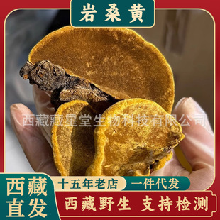 ����Ұ����ɣ�S��ș����֥�ߺ�����Ʒ����ɣ�S���K���`֥ȥ���B��