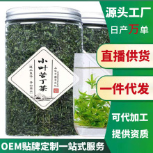 新茶小叶苦丁茶特级青山绿水四川峨眉山苦丁茶叶罐装批发代发150g