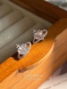 Advanced earrings, light luxury style, high-quality style