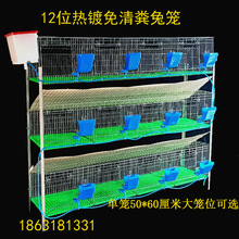加粗加密热镀锌兔笼养殖笼位位种兔笼免清粪兔子笼子母笼