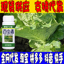 �߲˰��x��ֲ�ﾫ�ͷ��o������ײ����x���x�E�R��������