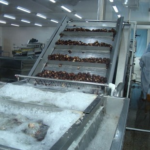 ���l�ݹ����^ ���ӹ����^  Ģ�����^ ���U�����^�㹽Ƭ���^�����^