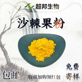 水溶性沙棘果粉现货包邮喷雾干燥粉果蔬粉沙棘粉抗氧化