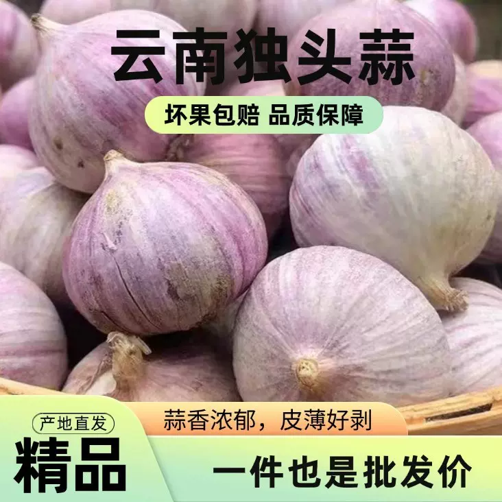 云南紫皮独头蒜独蒜头珍珠蒜紫皮大蒜头红皮鲜蒜多规格包邮