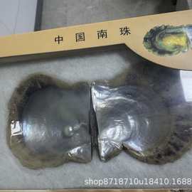 海水珍珠akoya母贝诸暨一粒正圆珍珠相框摆桌面送礼自用