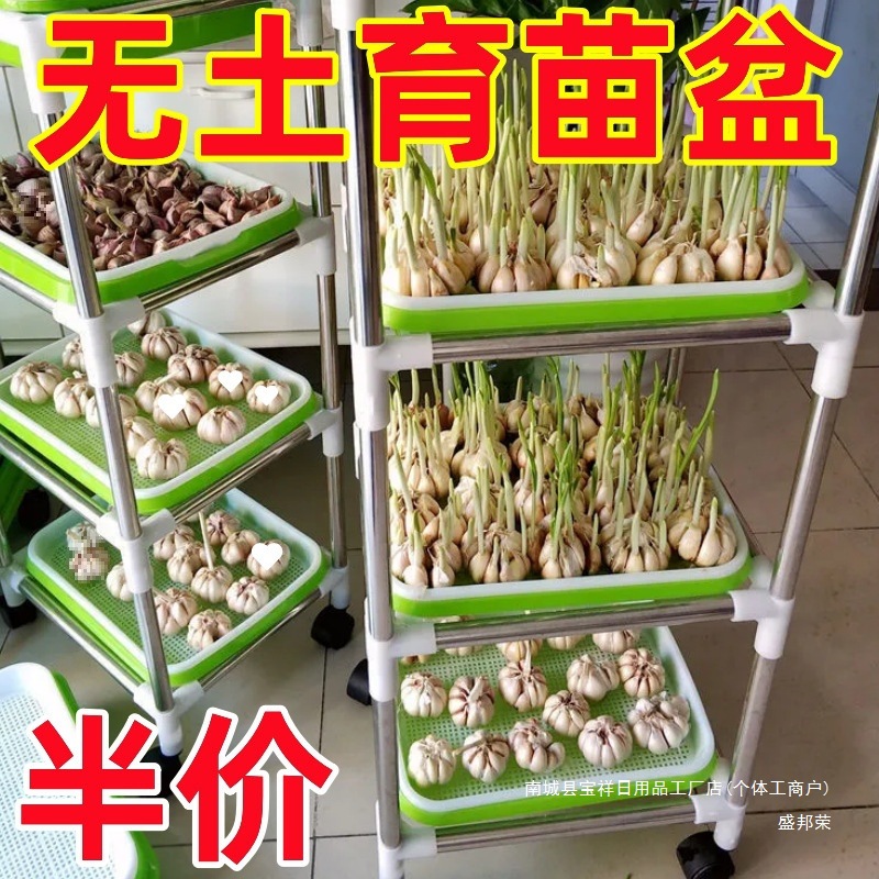 育苗芽苗菜种植豆芽豆芽菜种菜神器水培阳台发芽蔬菜无土栽培托盘