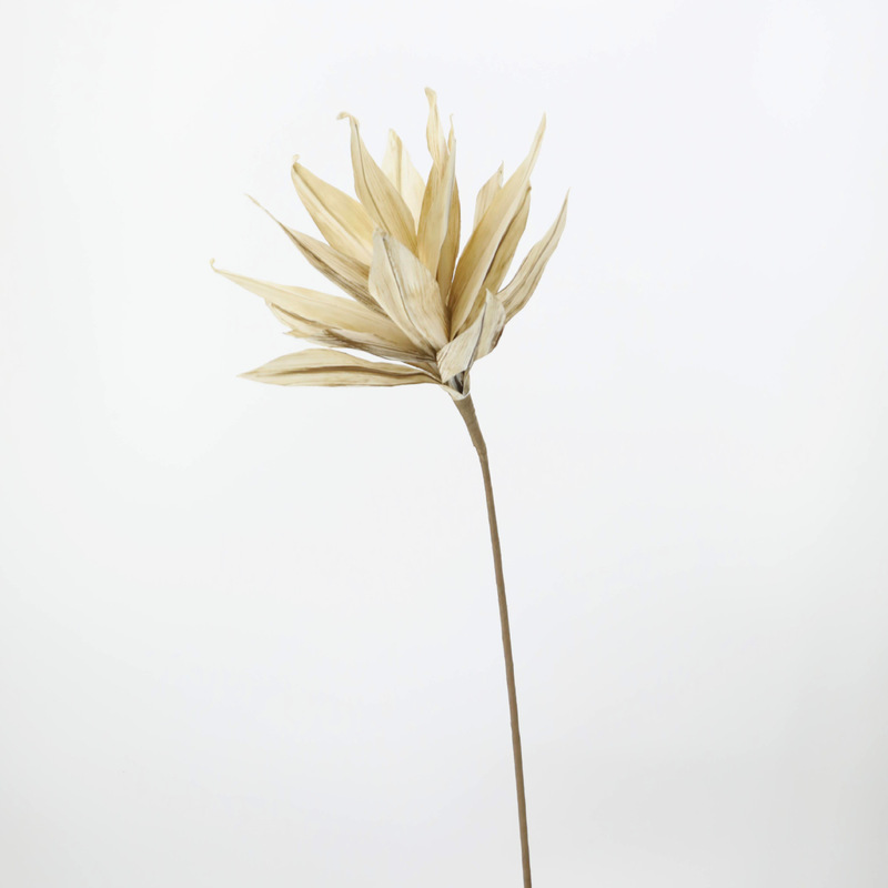 花の卸売りは葉の白い果物の手を持って3叉の大きい剣の葉の乾燥する花の芸術の生け花の材料の撮影の道具があります。|undefined