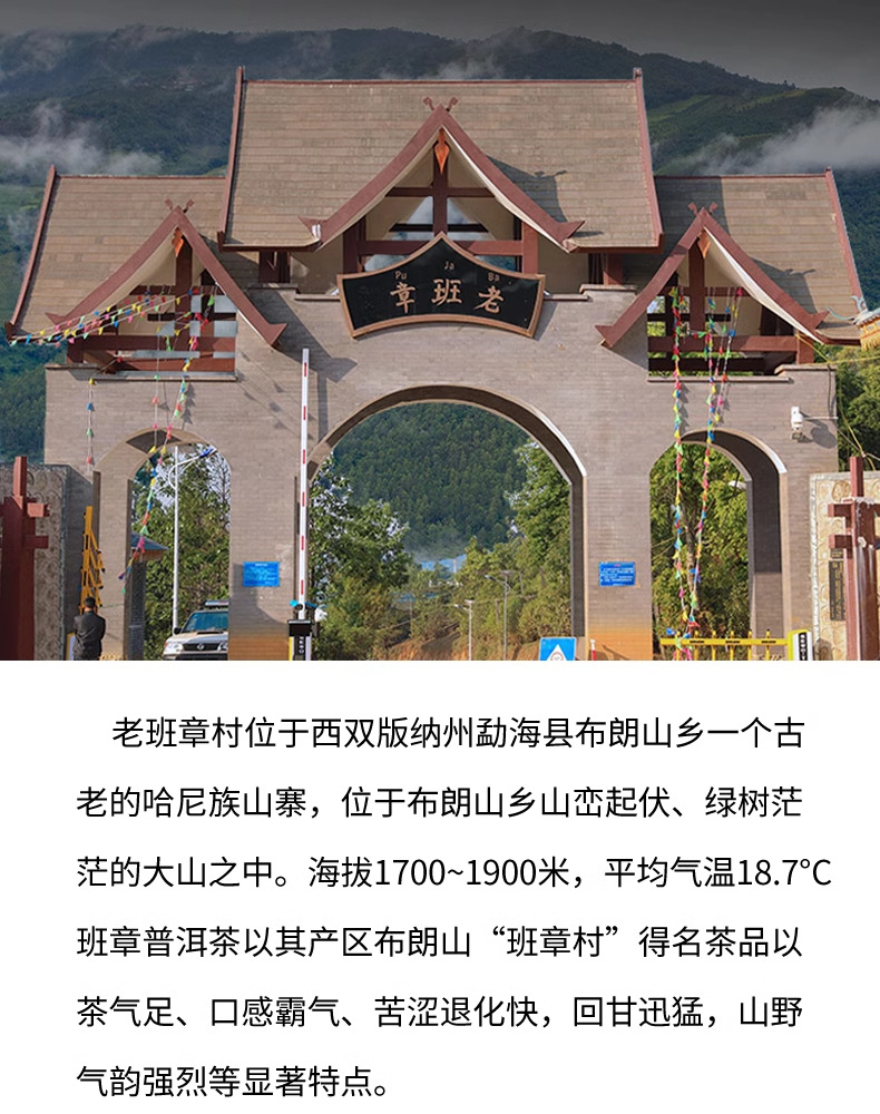 老班章【熟茶】详情_03.png