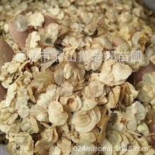 NIlܷNܘܘXܘѲ|ľܘѿ