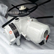 rotork_п늄ӈЙCD{IQ18F10A/B4 3010-100