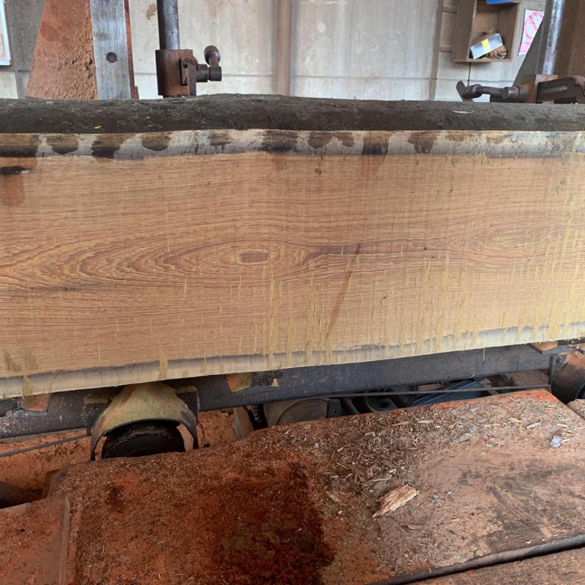 非洲黑鸡翅 国标红木 鸡翅木 家具材地板料乐器料