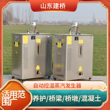橋梁冬季養護機 食品蒸煮工用燃油型蒸養鍋爐 預制混凝土蒸汽設備