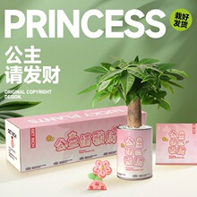 �lؔ��С���ԾGֲ�҃��辰�k����������w����ֲ����ֲؔ���ͶY��