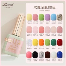 �ߙn�⯟ָ�����z2024���¿����׵ꌣ�����б�͸��ɫ�@���z