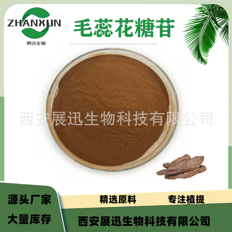 毛蕊花糖苷10% 管花肉苁蓉提取物 水溶  松果菊柑