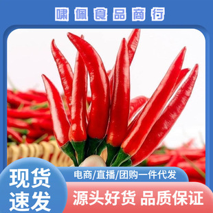 ���r�tС�����������������콷��������⽷���l��tС�׽��o����