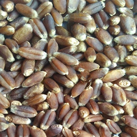 豆类;麦类;面粉