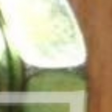 供应矿用本安电路用分线   矿用本安型接线盒    矿用四通防爆接