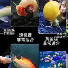 �^�p�r�����r��ˮ�r��ښ��r�坍�~�ͻ���B�Ꭷ�^�p�~����ˮ���r