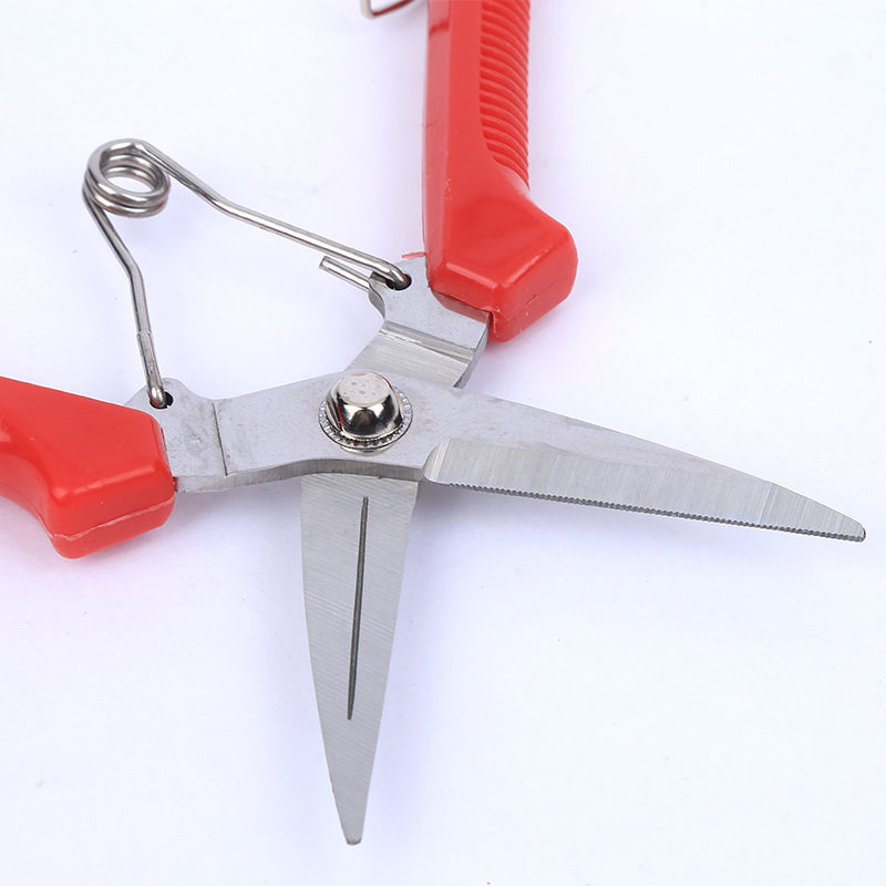 Acero inoxidable tijeras de recolección de uva multifuncional horticultura tijeras de fruta delgada tijeras de verduras tijeras de flores tijeras de huerto de枸杞