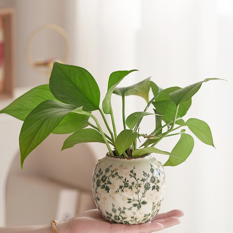 Pastoral retrógrado flor de cerámica pequeña flor de rosa verde grietas de hielo nuevo estilo chino decoración de escritorio de sala de estar estudio