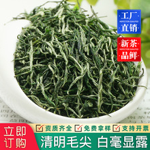 2025²ë紺ѿɽGͲ~ɢbël