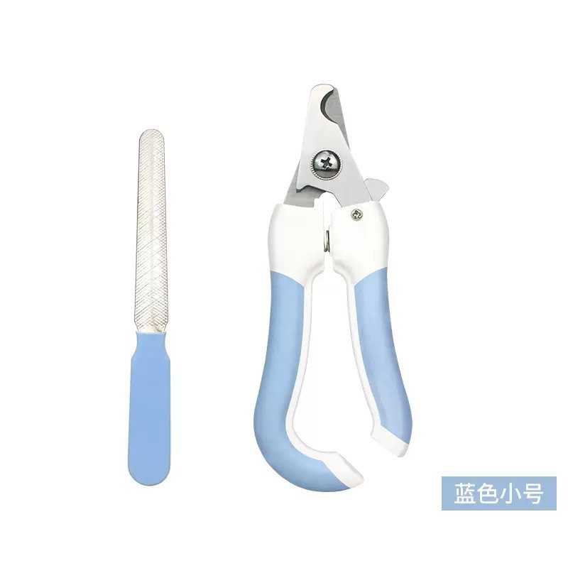작은 사이즈 파란색 종이 카드