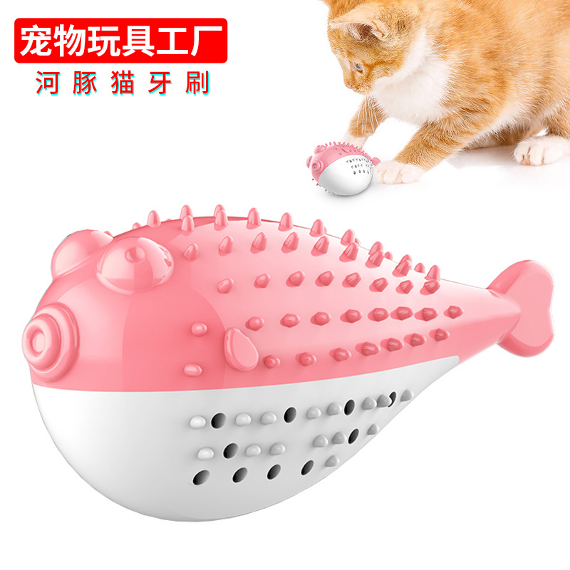 宠物用品工厂家批发公司新爆款亚马逊TIKTOK猫牙刷逗猫咪磨牙玩具