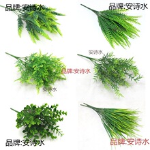 ֲ���ķ���ֲ�� 7��ˮ�����ϼٲݲ�˹�� ���ϻ�ާ�ֲ���l