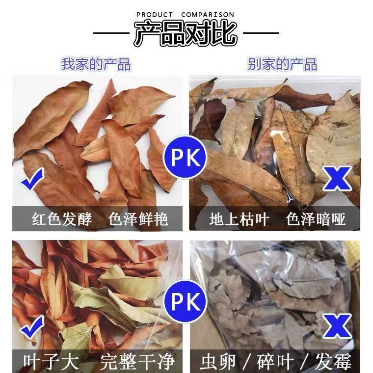 腐った革のカメを治療するための龍眼の葉、水槽の造園、水質を調整して改善するための赤い龍眼の葉、調理なし|undefined
