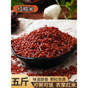 �¼t��5�������r���ԷN�t�׾���Ѫ���׼t��������s�Z�tɫ����