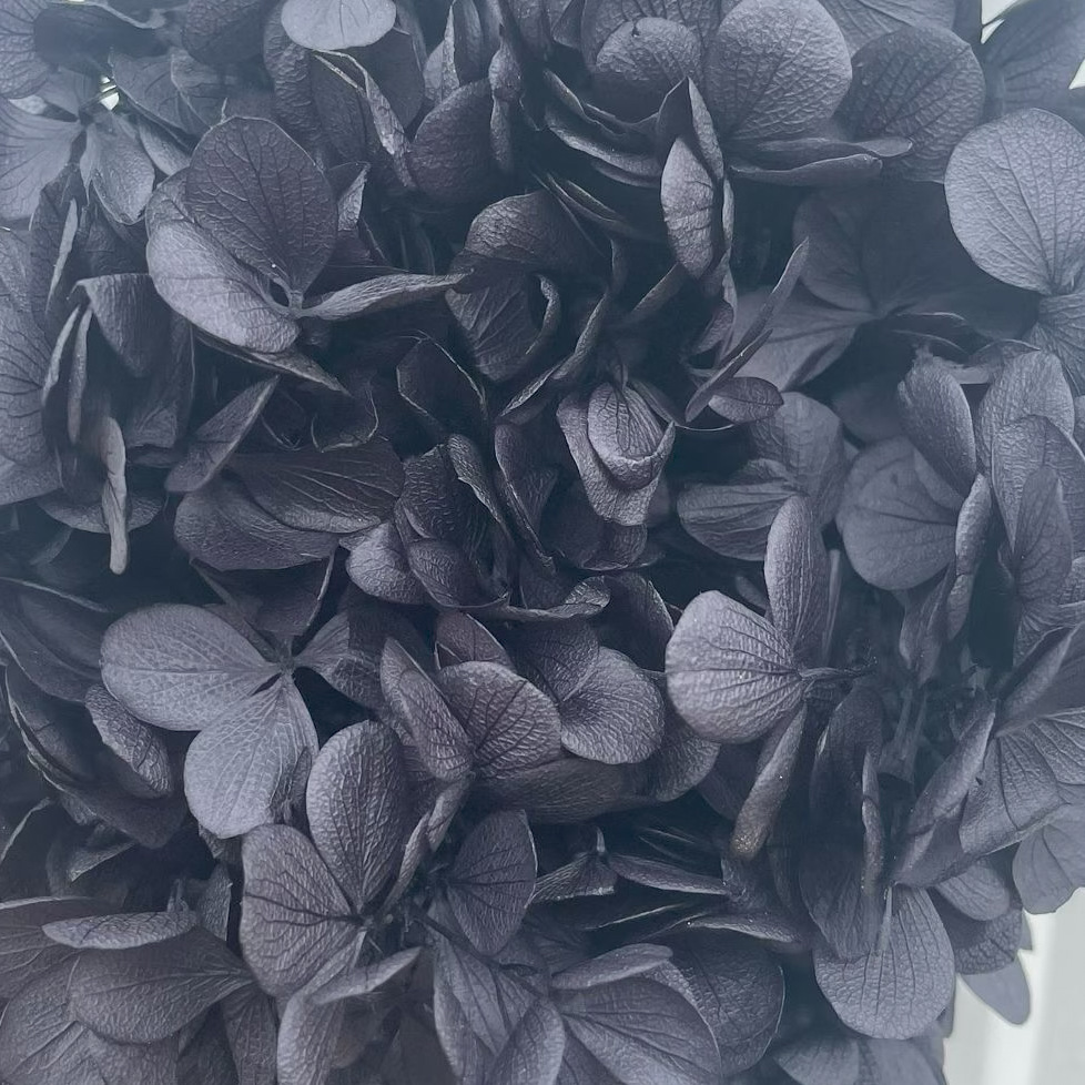 ✅ Flores secas flores eternas hortenida color gradiente material hecho a mano bolsa de calzado de boda cubierta de vidrio grupo de construcción de flores actividades