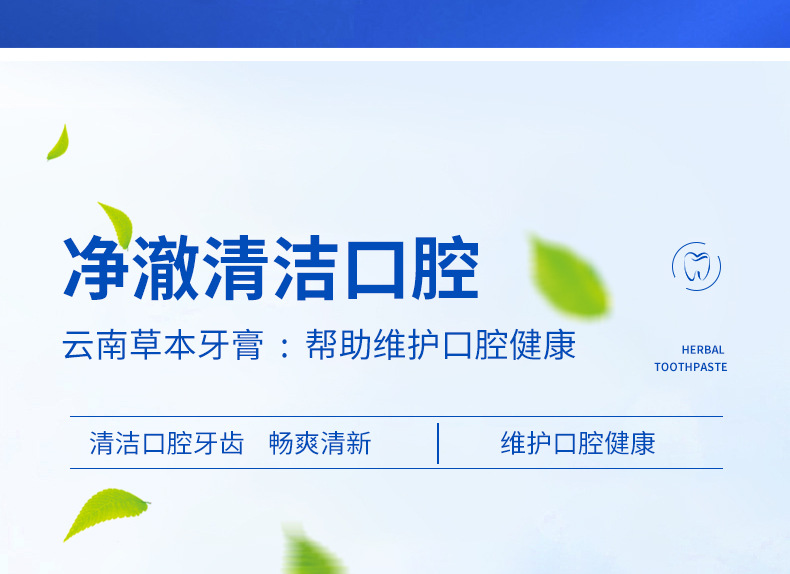 云南草本详情_07