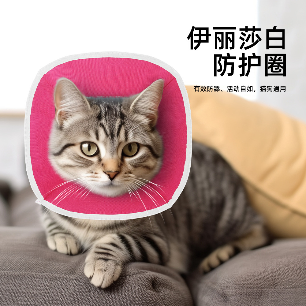 Especial transfronterizo para el casco de protección para mascotas de anillo de Elizabeth, collar de perro anti-lamiendo de gato de anillo de Elizabeth al por mayor