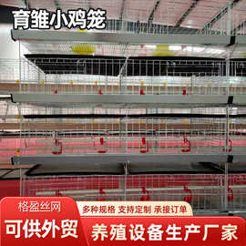育雏鸡笼四层立体式小鸡笼镀锌养殖设备鸡笼鸡舍养殖育雏小鸡笼