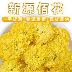 卸売りブ源皇菊ばら積500g新商品大輪菊花茶一輪恵州黄菊産地直販