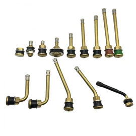 气门嘴;螺栓;其他维护工具