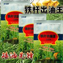 铁杆出油王油菜种子油菜花种子根粗壮黄油菜籽榨油高产早熟油菜籽