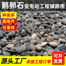 户外变压器鹅卵石庭院鹅卵石厂家工程铺地污水处理河道专用滤料