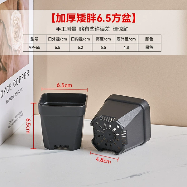 [AP-65加厚矮胖6.5方盆黑色（盆尺寸6.5x6.5x6.5cm)]