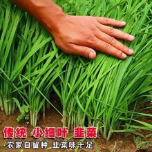 ļ²˷NƷNС~²ѱϸt²͟ͺļ