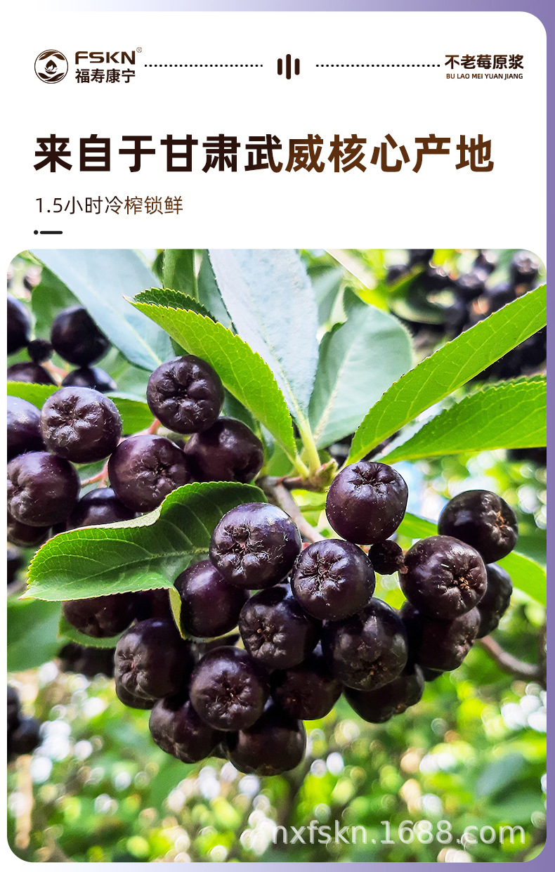 Aronia Berry NFC Pure Juice 500ml 100 Percent Concentrate No Additives key features