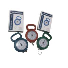 手提弹簧秤快递手提称便携式家用口袋迷你秤 厂家可带LOGO 称重