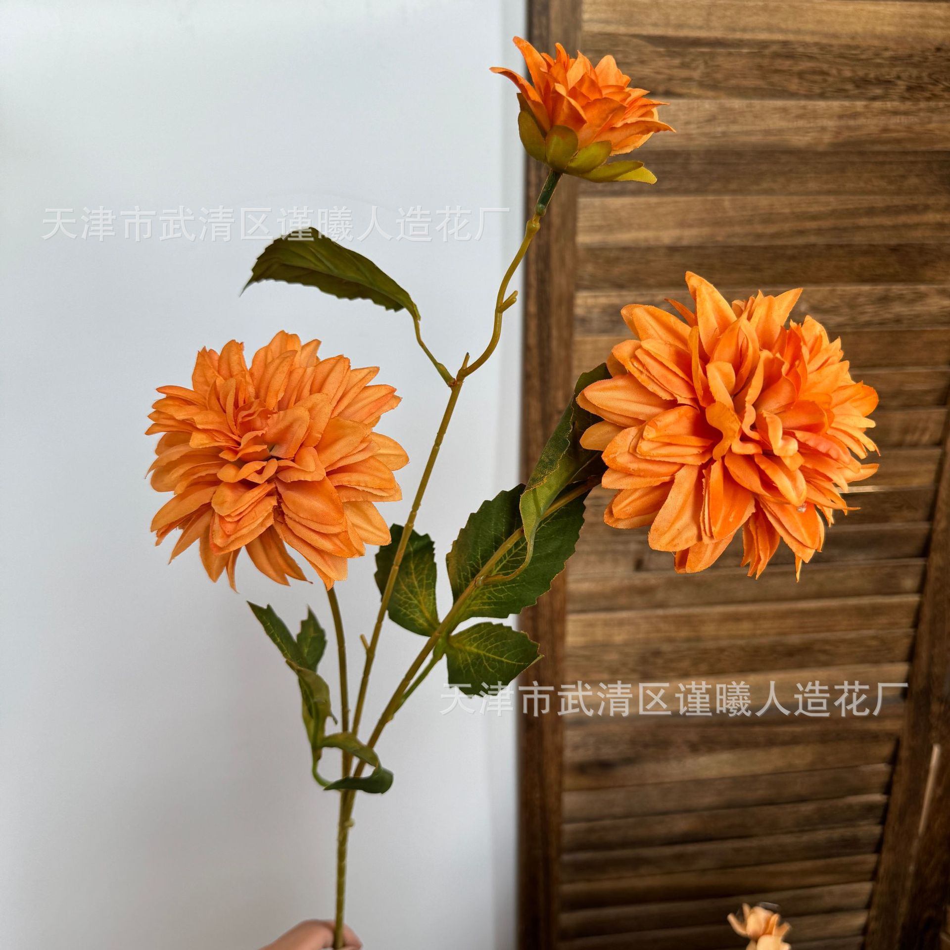Hoa thược dược lộng lẫy