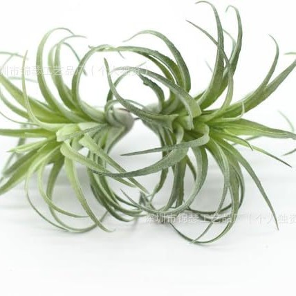 Cross-Border Artificial Plants, Artificial Plants, Succulent Air Grass, Pineapple Leaves, Flower Heads, Home Indoor and Outdoor Decoration Small Ornaments