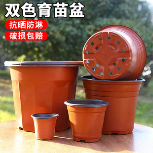 �pɫ����Nֲ����I�B�����⻨�ܻ�������һ���ԼӺ��pɫ������
