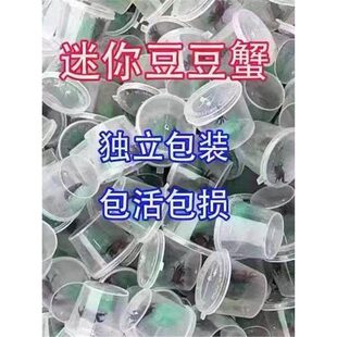 ���r����������з�������΢���^�pз��ˮ����[��С����